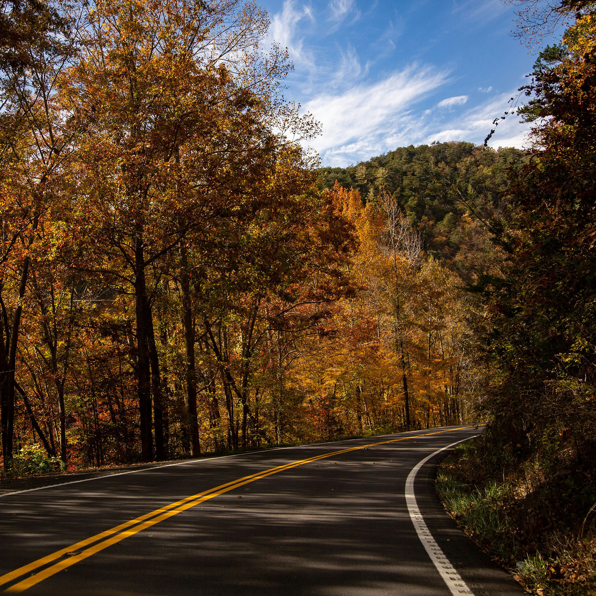 Professional landscaping services in Cabot, Arkansas